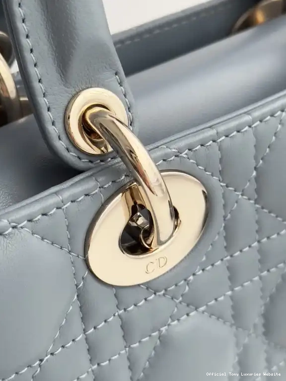 Tony Luxuries BAG-22*12*6CM D-JOY LADY diro 0526